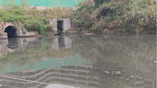 典型案例重庆市生活污水处理能力不足一些地方仍然存在污水溢流问题(图2)