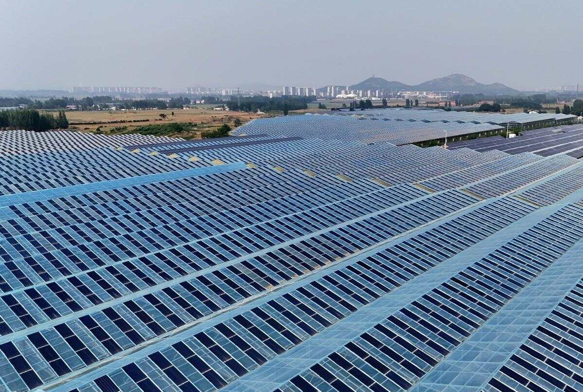 【中国那些事儿】科技赋能可持续发展中国为全球生态治理点燃新引擎(图1)