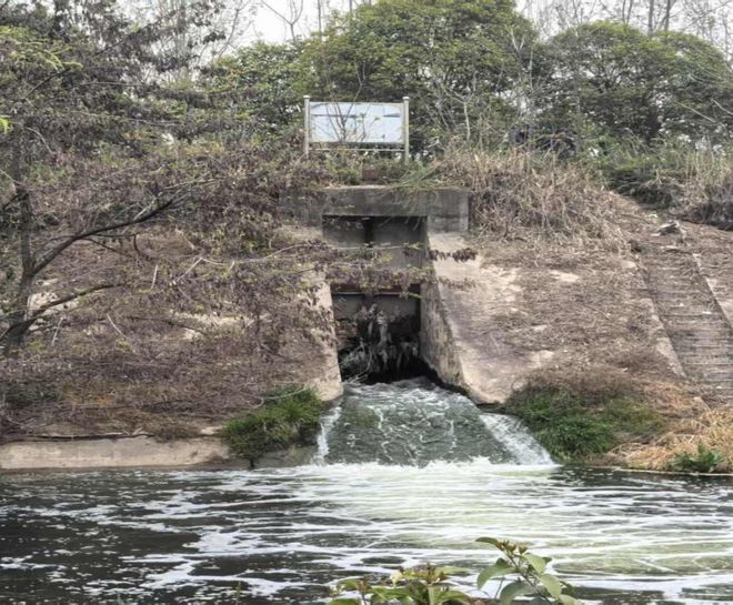 典型案例陕西省宝鸡铜川等市水资源管理粗放(图2)
