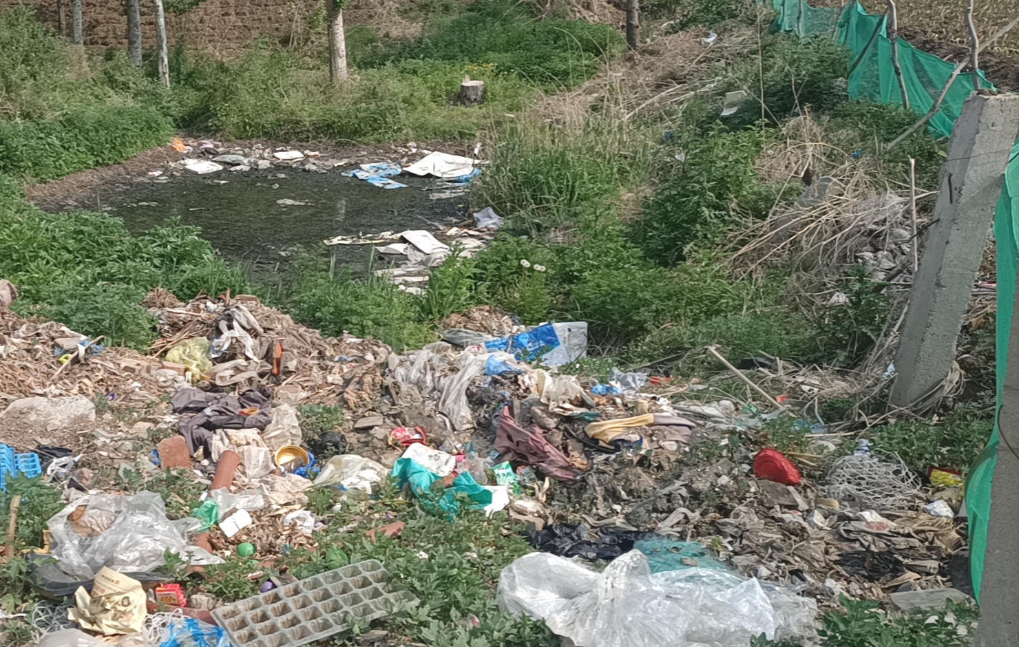 哈尔滨道里区完成19个建制村污水治理(图1)