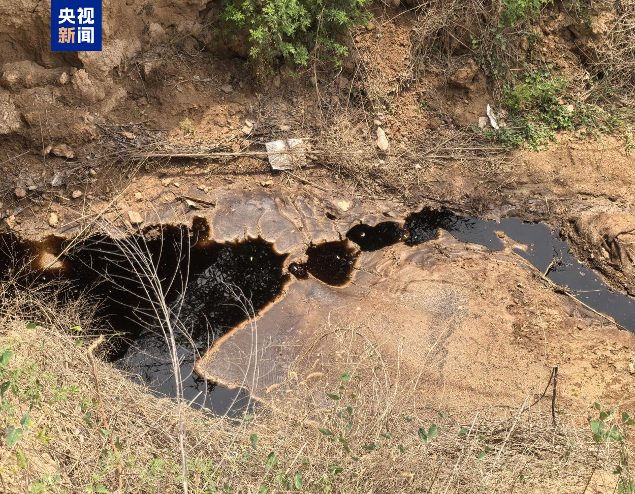 中央生态环境保护督察点名山西宁夏(图1)