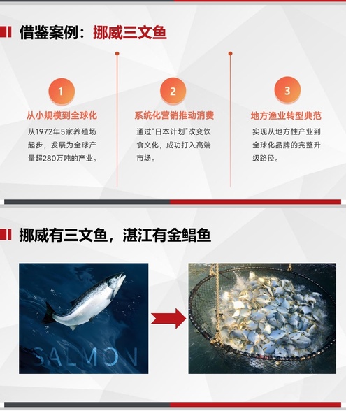 湛江举行“百千万工程”干部履职能力提升公益培训班(图3)