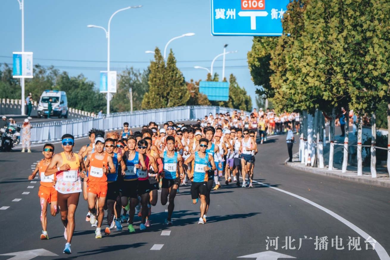 逐梦衡水湖PB马拉松2025衡水湖马拉松赛将于9月21日鸣枪开赛(图4)
