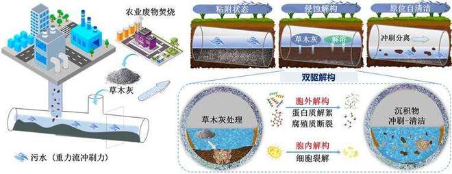 我国团队研发技术助力解决城市污水管道淤积难题(图1)