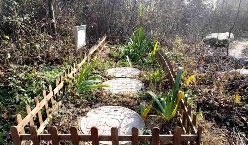 破解中高海拔污水治理难！宝兴县“三力驱动”绘就农村污水全域治理新画卷！(图2)