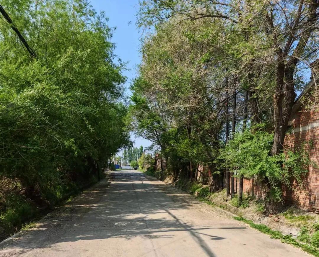 吉林省生态环境厅(图2)