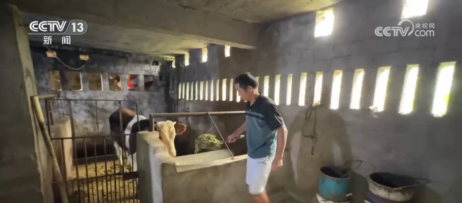 从环境“小整治”到村貌“大提升”“脏乱差”小村变身美丽乡村(图8)