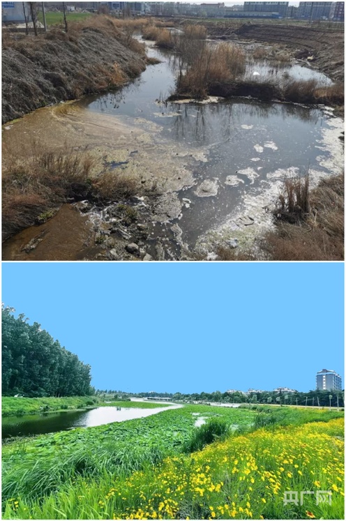 山东泰安：6万吨再生水与3577个排污口整治背后的河湖新生(图2)