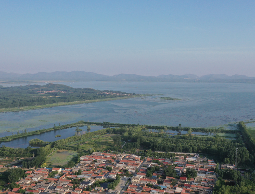 逐“绿”津沽绘“蓝”图(图2)