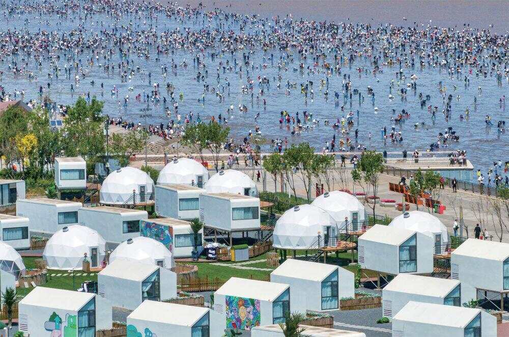 逐“绿”津沽绘“蓝”图(图1)