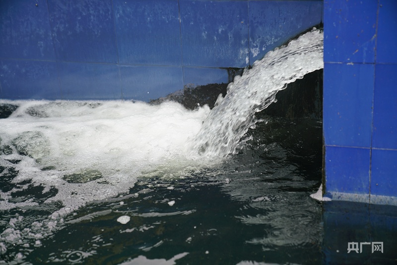 美丽河南丨因地制宜治污水美丽乡村入画来(图3)