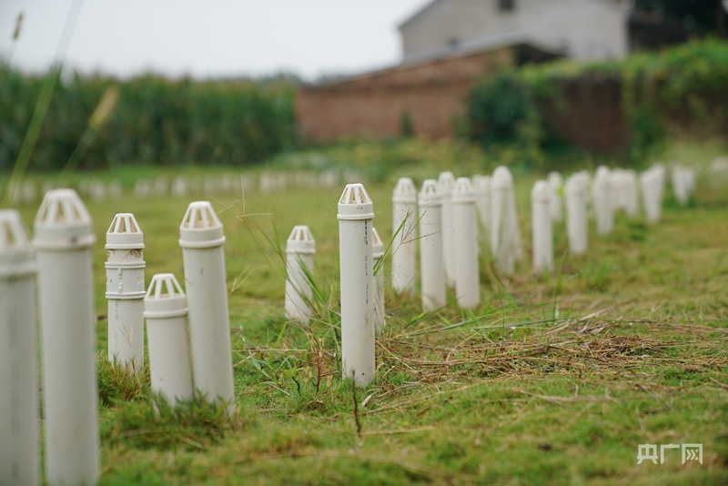 美丽河南丨因地制宜治污水美丽乡村入画来(图5)