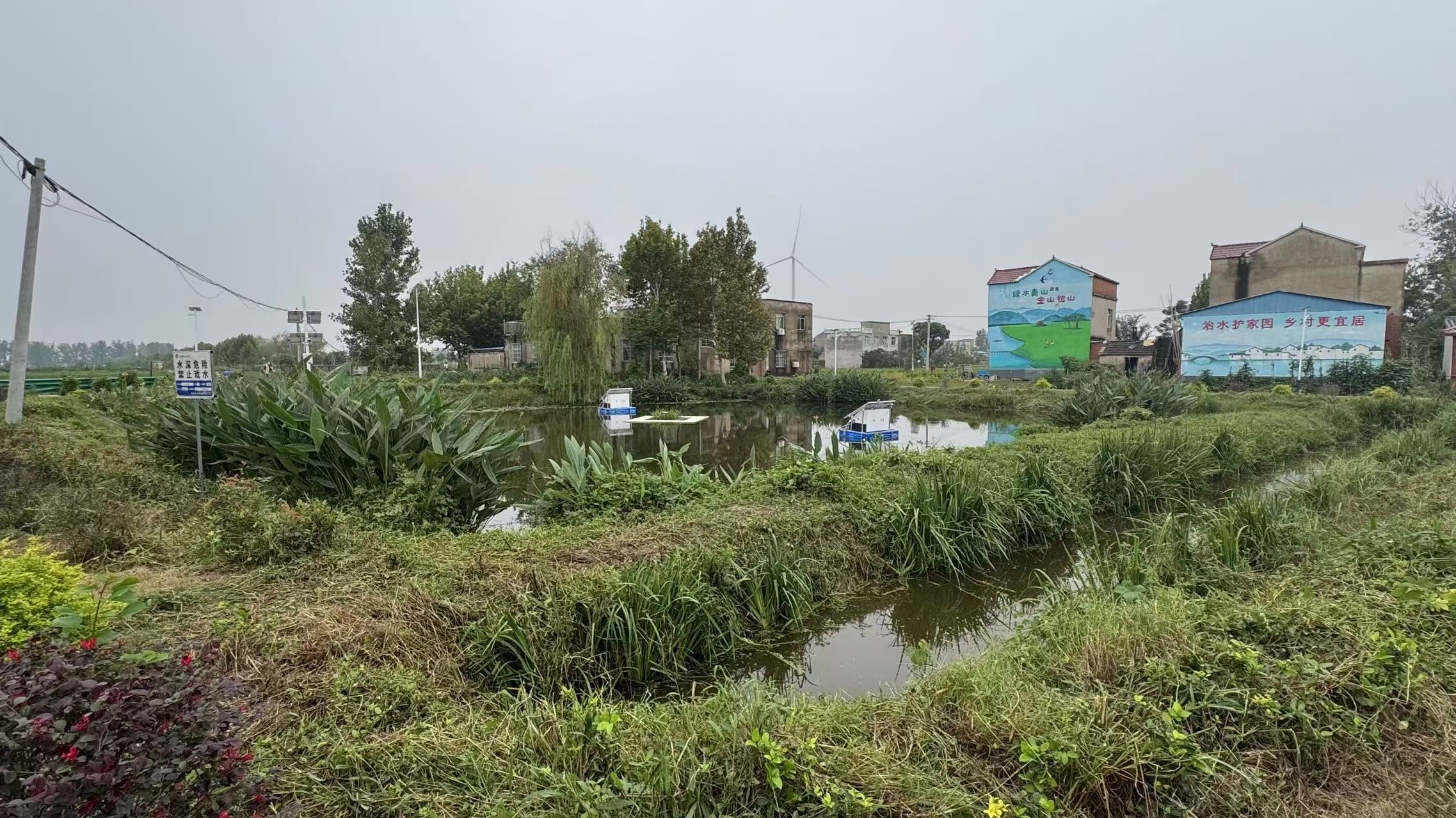 【环保世纪行】五河县大新镇毛滩村：门前臭水塘变身“荷花水榭”(图3)