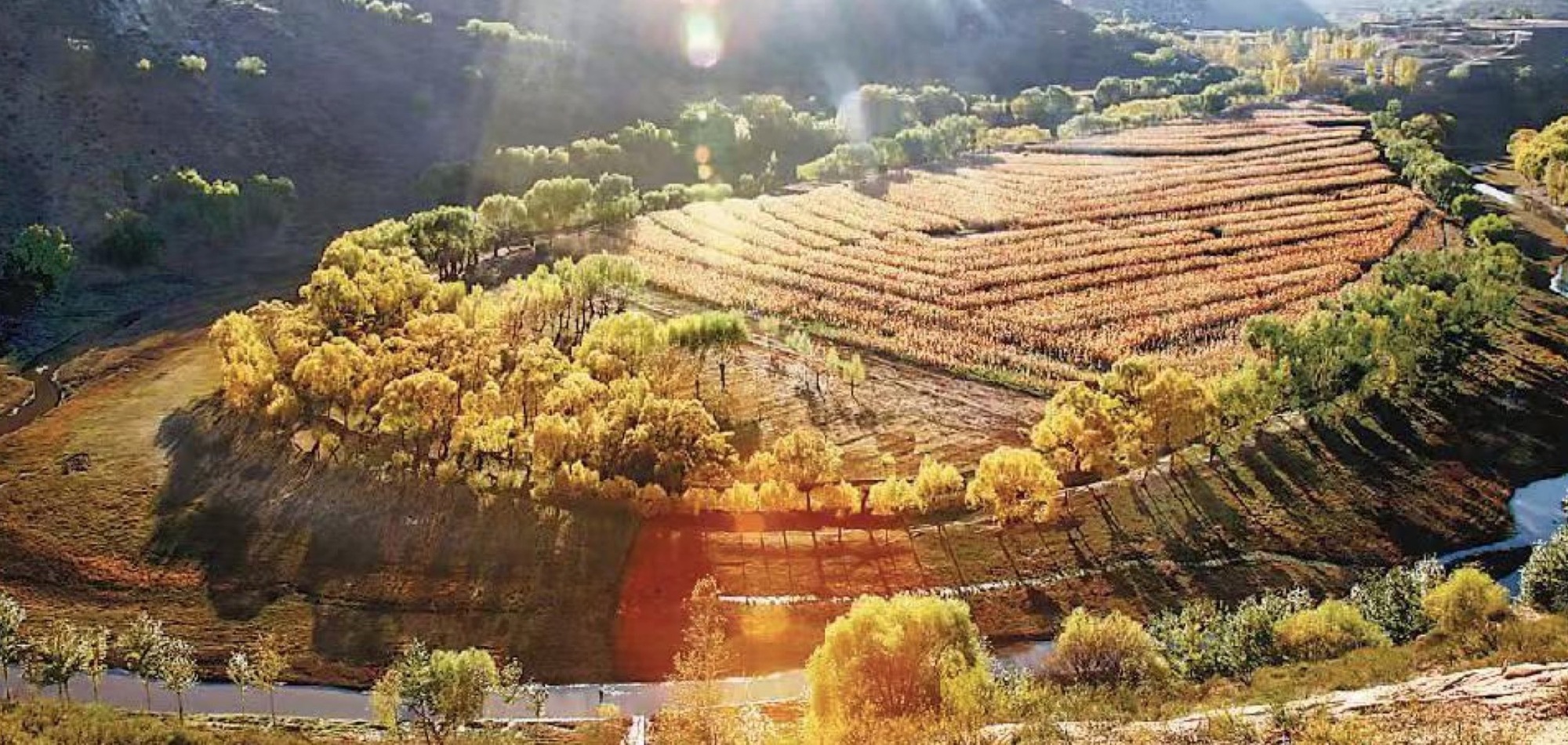 加快从“生态佳”向“生态+”迈进——鄂尔多斯开创美丽建设新局面(图1)