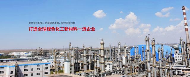 双欣环保：健全治理体系与风险防控机制构筑高质量发展护城河(图1)