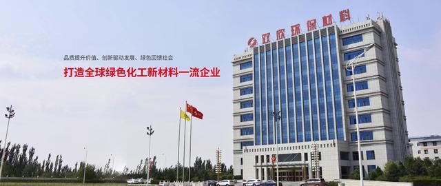 双欣环保：健全治理体系与风险防控机制构筑高质量发展护城河(图2)