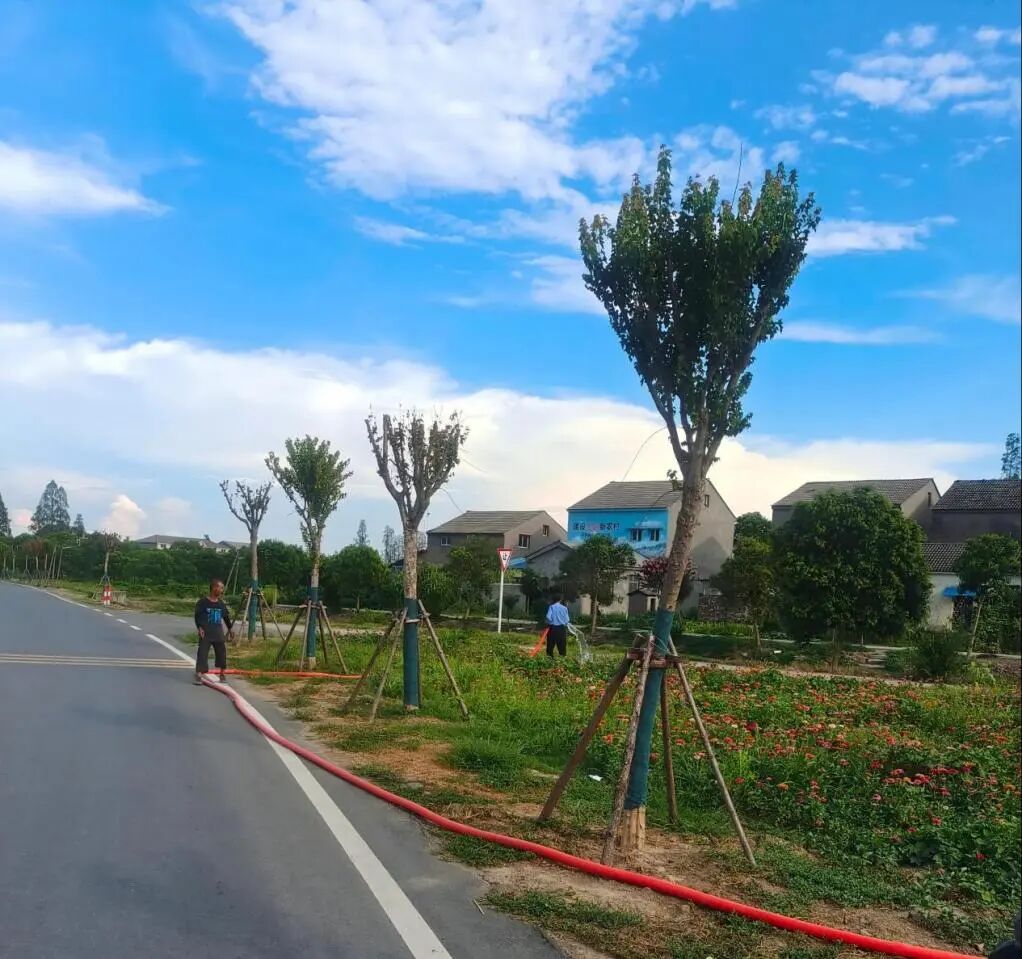 潜江市龙湾镇推进“三生融合”农村生活污水治理