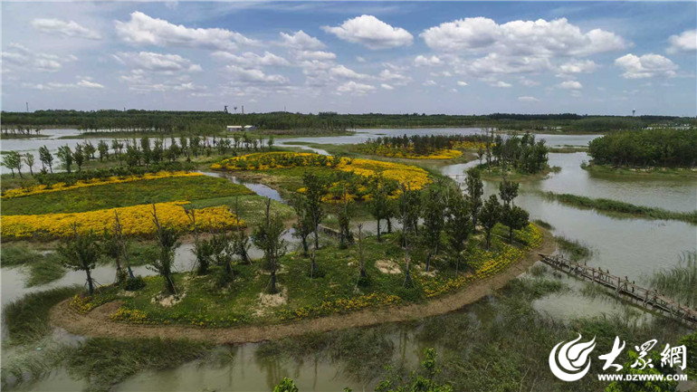 德州“十四五”发展成就|农村生活污水治理率59%德州“十四五”生态治理亮实招_大众网(图2)
