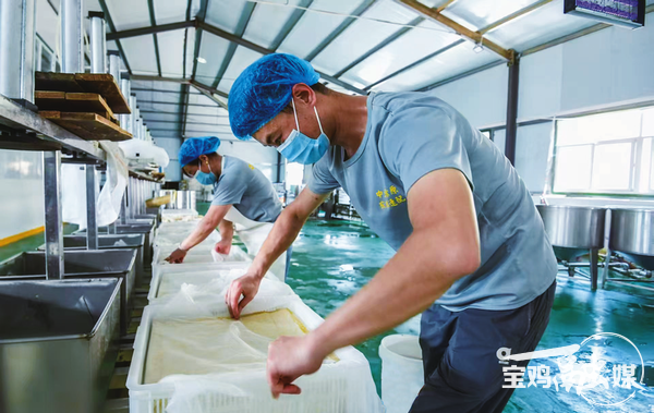 【深度·宝鸡】千村万象和美与共——宝鸡“千万工程”的探索与实践(图2)