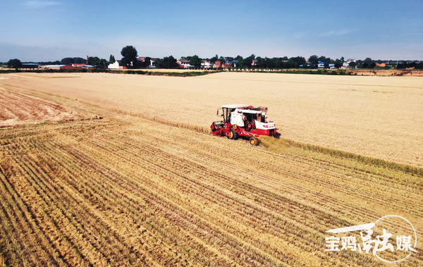 【深度·宝鸡】千村万象和美与共——宝鸡“千万工程”的探索与实践(图4)