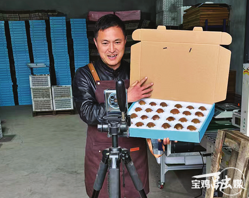 【深度·宝鸡】千村万象和美与共——宝鸡“千万工程”的探索与实践(图5)