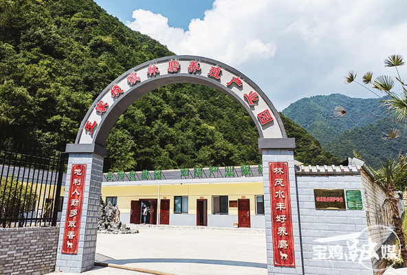 【深度·宝鸡】千村万象和美与共——宝鸡“千万工程”的探索与实践(图6)