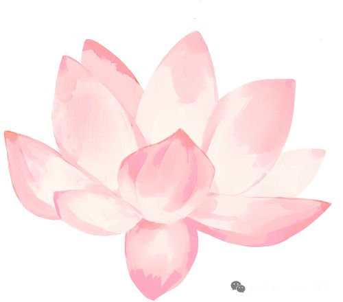 后湖武汉这2年在搞水综合治理