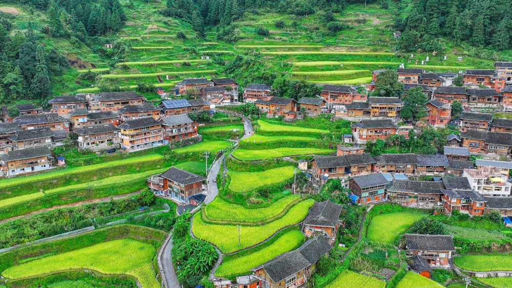 中国三星CSR新三年战略收官扎实履行社会责任(图2)