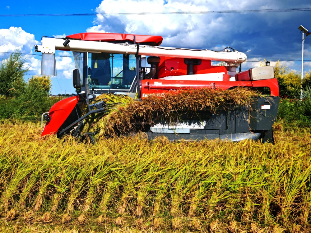 中国三星CSR新三年战略收官扎实履行社会责任(图4)