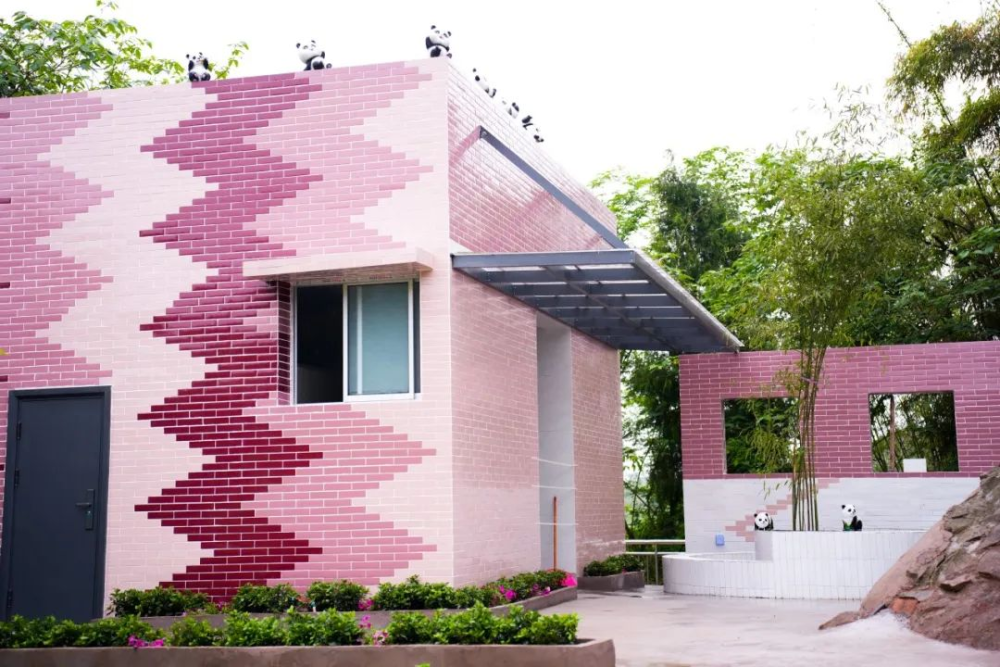 中国三星CSR新三年战略收官扎实履行社会责任(图6)