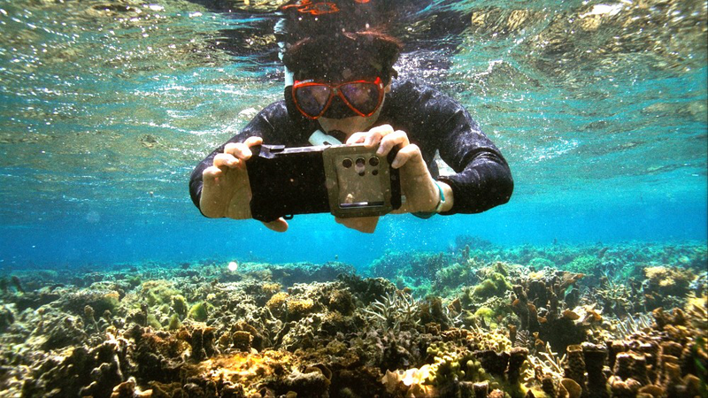 中国三星再登外企社责榜首CSR新三年战略收官(图3)