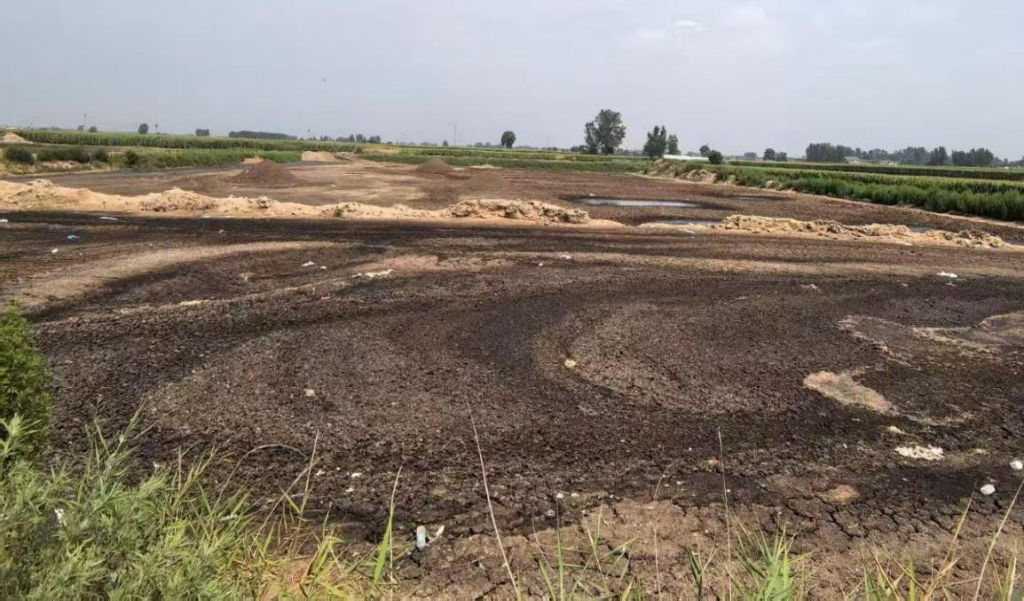 中央生态环保督察通报河北廊坊辛集等地农村污染治理差距明显(图2)