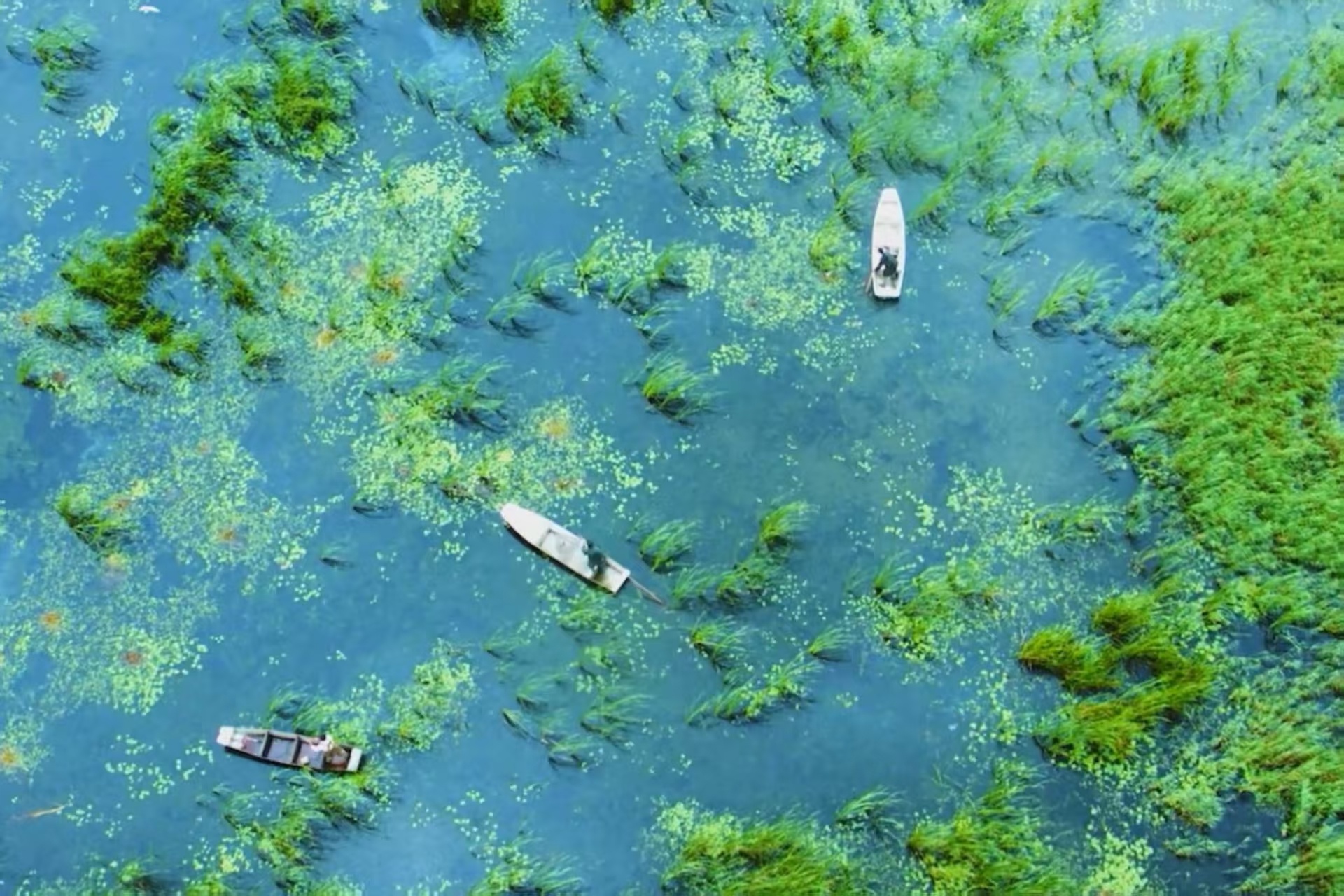 黑龙江新增6处国家级“绿色名片”(图3)