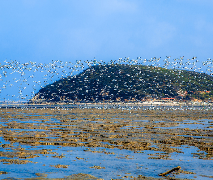 江苏连云港：陆海统筹科学用海让“碧海银滩”蝶变成“金山银山”(图2)