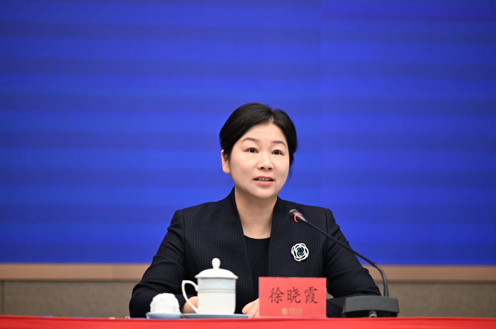 广东省生态环境厅：把绿水青山建得更美、金山银山做得更大！(图1)