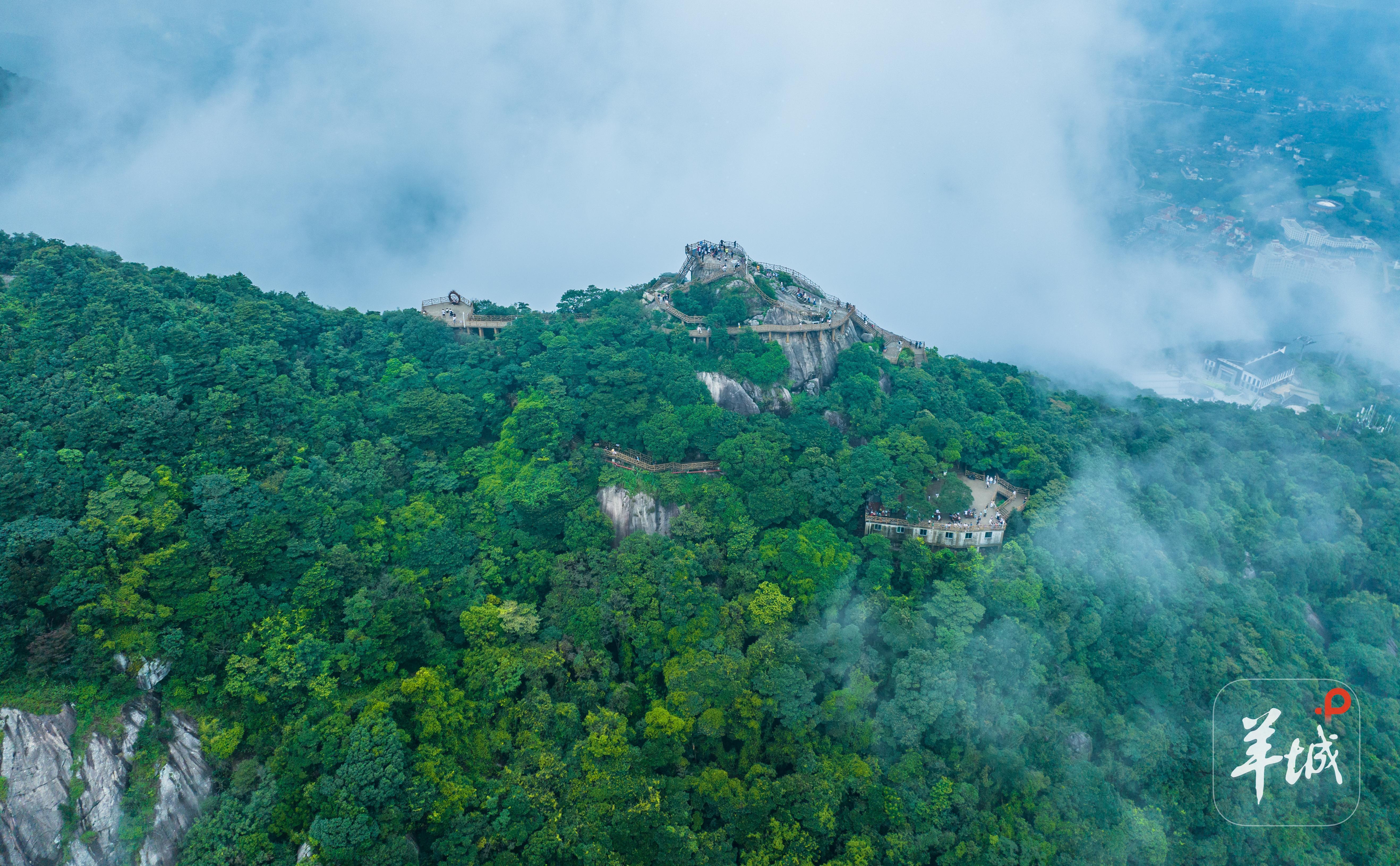 广东省生态环境厅：把绿水青山建得更美、金山银山做得更大！(图2)