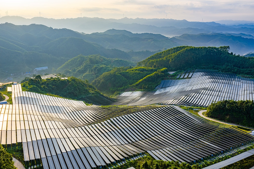 中国经济信心说丨消费添“绿”产业向“新”(图2)