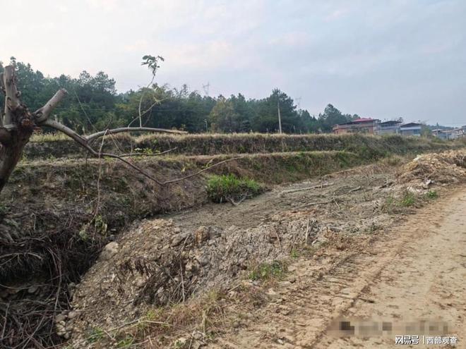 湖南永州道县“幽灵电站”死灰复燃侵占耕地当地宣传部项目已停工(图4)