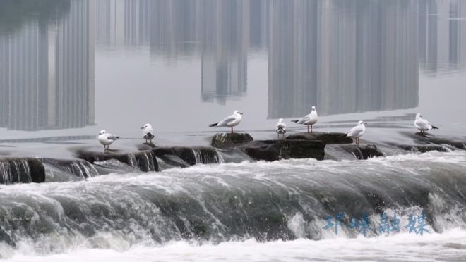 实干的邛崃—我们身边的“十四五”丨绿水青山映古城公园城市绽新颜(图1)