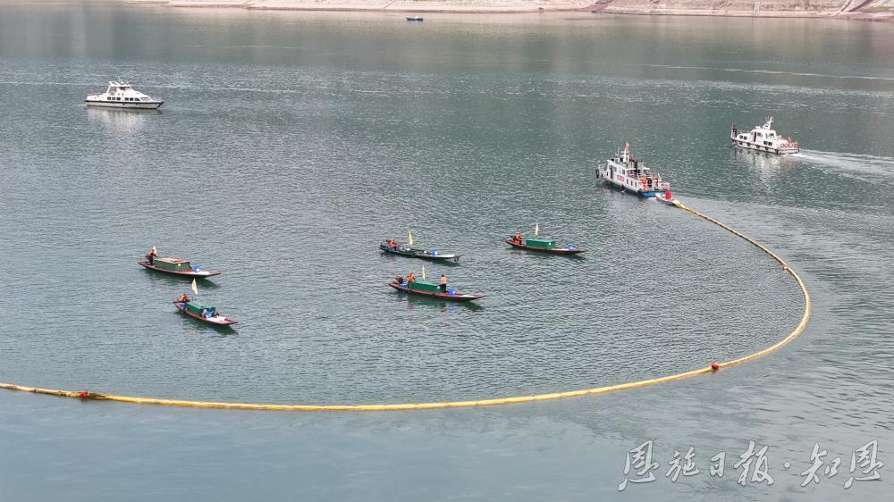 中国环境报客户端丨只此青绿、尽抒锦绣！巴东将一个个绿色故事写实在巴山楚水间(图3)