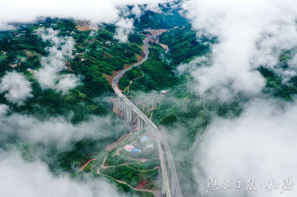 中国环境报客户端丨只此青绿、尽抒锦绣！巴东将一个个绿色故事写实在巴山楚水间(图6)