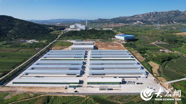 【烟台肉鸡四十载】智慧养鸡、生态农牧看鼎立！(图5)