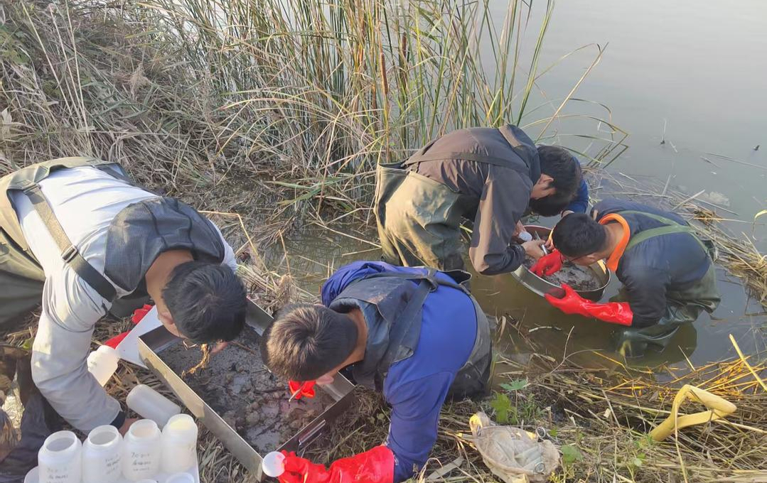 党媒联动|黄河好鱼知道(图3)