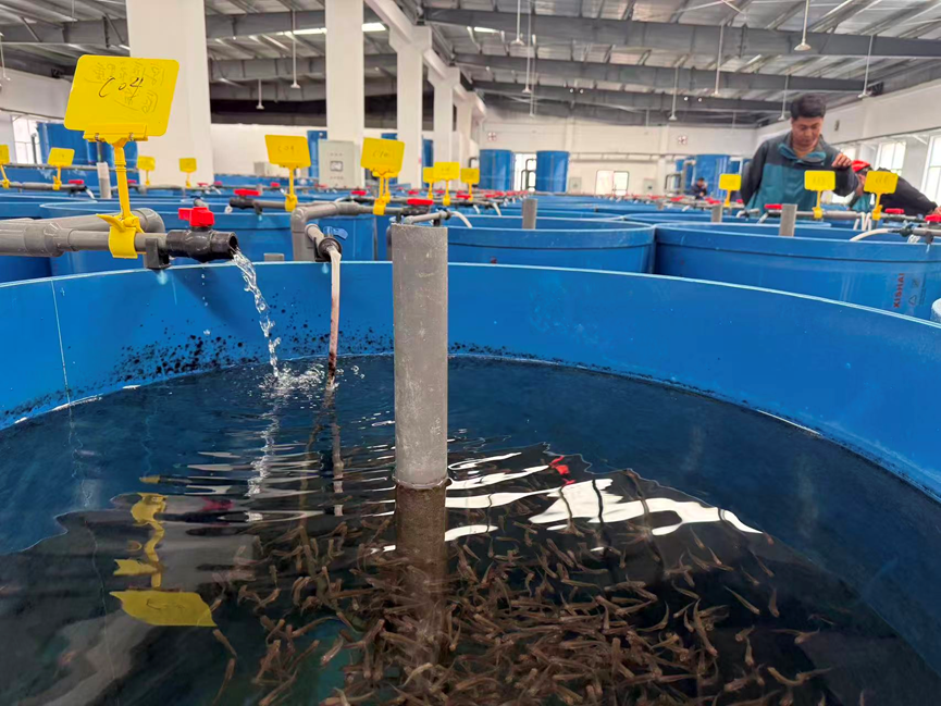 党媒联动|黄河好鱼知道(图14)