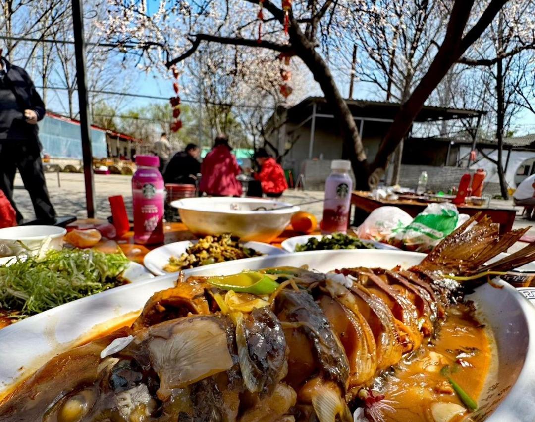 党媒联动|黄河好鱼知道(图5)