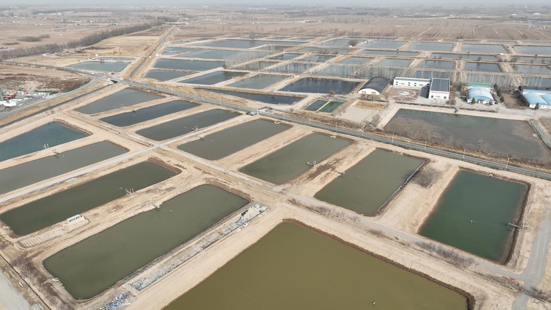 党媒联动|黄河好鱼知道(图10)