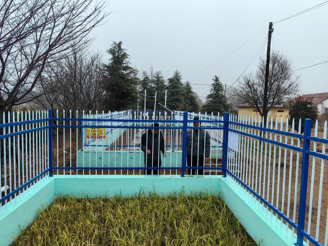 日照经开区科学治理农村生活污水(图3)