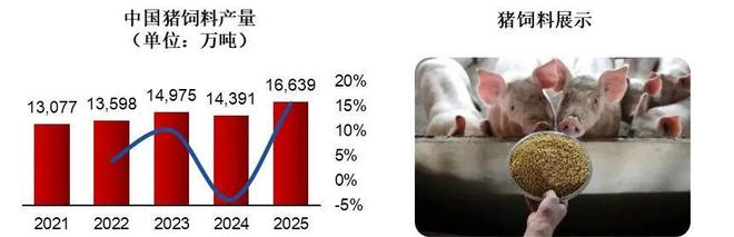 一天吃透一条产业链：生猪养殖（触底反弹？）(图6)