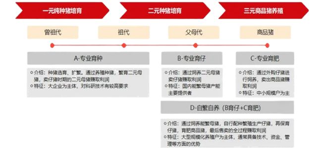 一天吃透一条产业链：生猪养殖（触底反弹？）(图10)