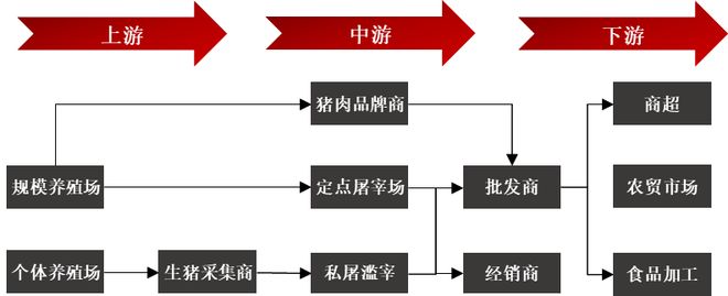 一天吃透一条产业链：生猪养殖（触底反弹？）(图16)